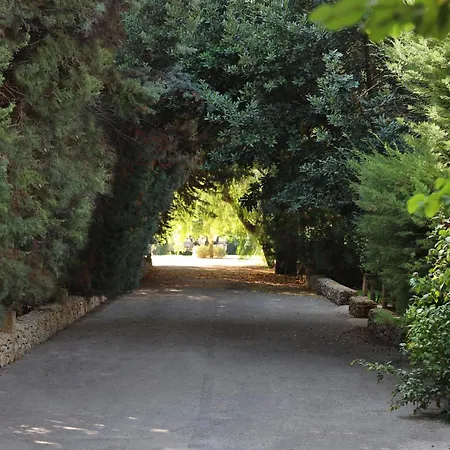 Maison D'enrì Bed & Breakfast Gallipoli