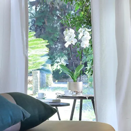Bed & Breakfast Maison D'enri