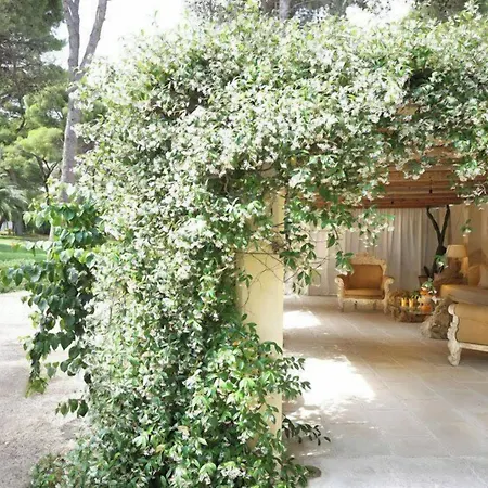 B&B Maison D'enri 4*
