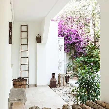 Maison D'enri 4* Gallipoli