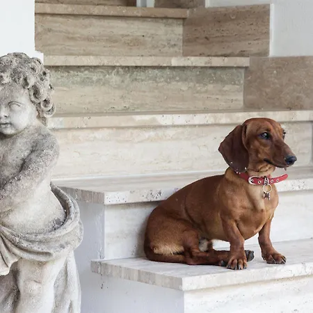 B&B Maison D'enri 4*